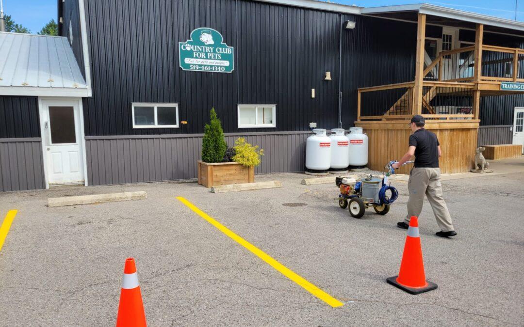 Country Club For Pets